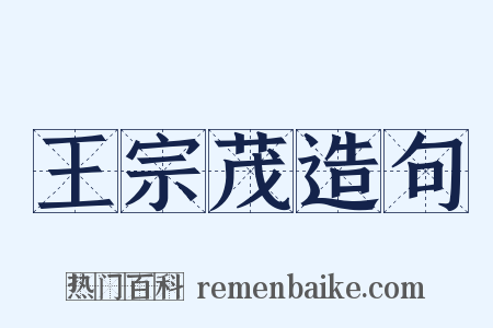 王宗茂造句是什么意思的图片